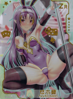 NSZW-5-1-ZR-014 Asuna Yuuki | Sword Art Online